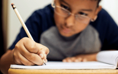 The Homework Struggle