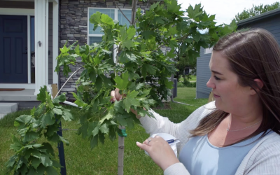 Nature Week: Scavenger Hunt