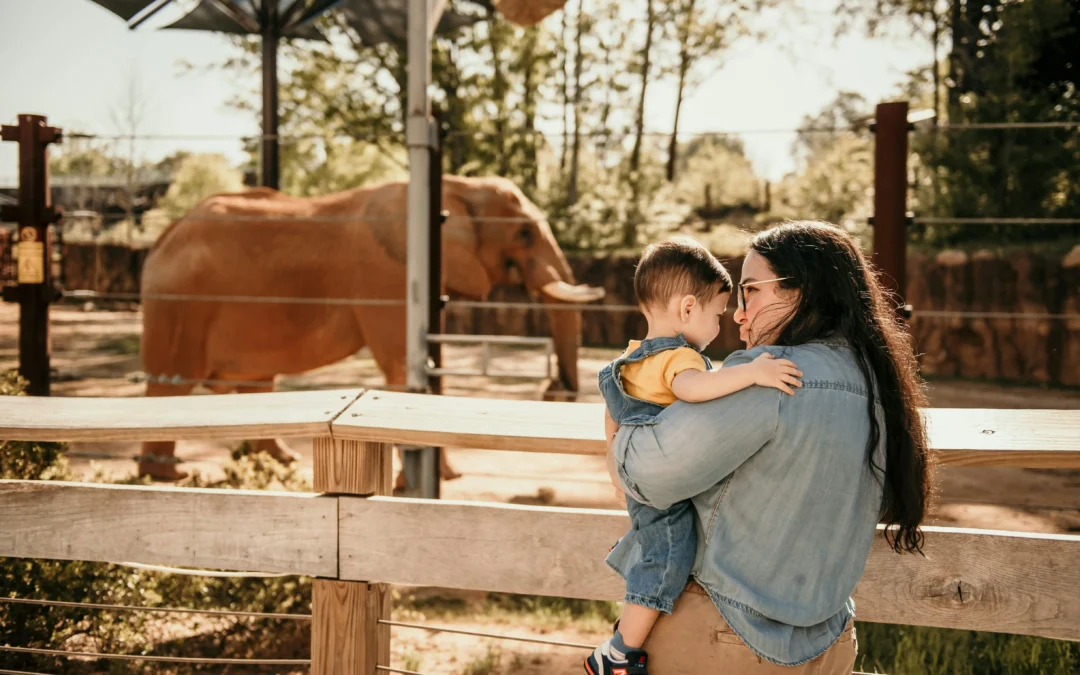 5 Places To Build Speech & Language in Des Moines, Iowa